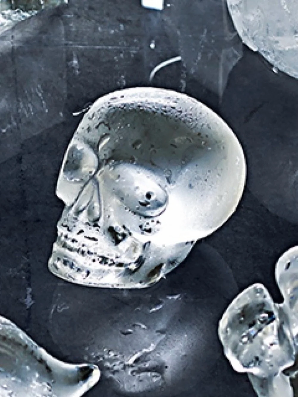 Williams Sonoma Skull ice molds (2)